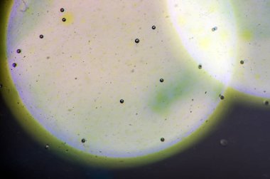 boya ile kimyasal deney