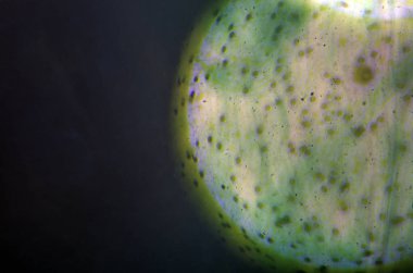 boya ile kimyasal deney