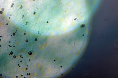 boya ile kimyasal deney