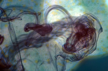 boya ile kimyasal deney