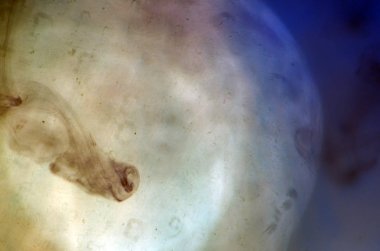 boya ile kimyasal deney