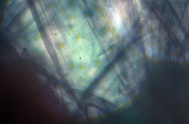 boya ile kimyasal deney