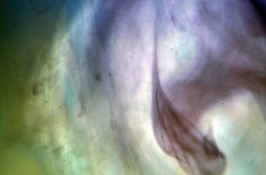 boya ile kimyasal deney