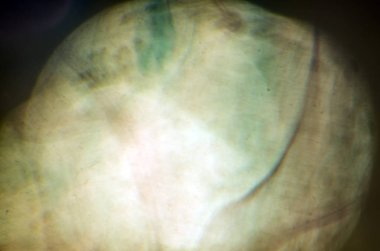 boya ile kimyasal deney