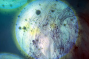 boya ile kimyasal deney