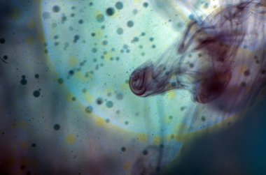 boya ile kimyasal deney