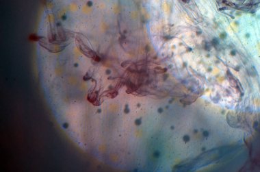 boya ile kimyasal deney