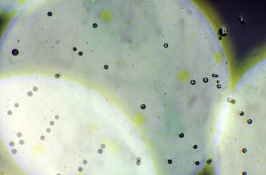 boya ile kimyasal deney