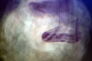 boya ile kimyasal deney