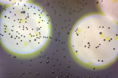 boya ile kimyasal deney