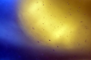 boya ile kimyasal deney