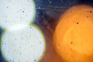 boya ile kimyasal deney