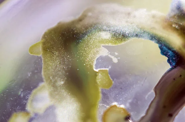 boya ile kimyasal deney