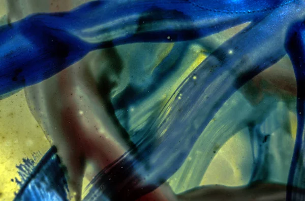 boya ile kimyasal deney