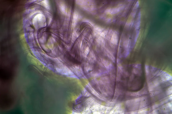 boya ile kimyasal deney