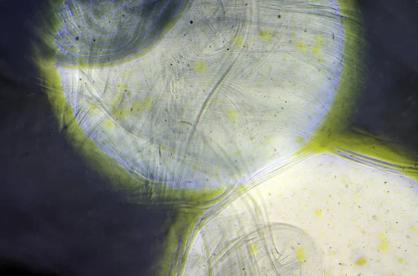 boya ile kimyasal deney