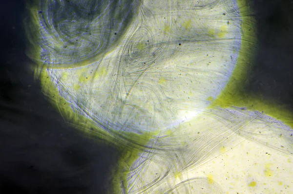 boya ile kimyasal deney