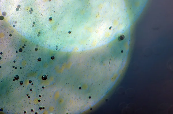 boya ile kimyasal deney