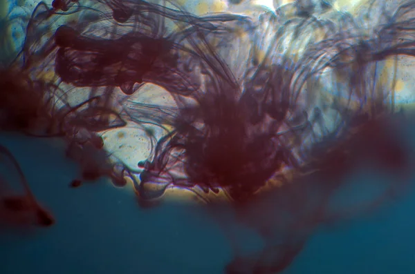 boya ile kimyasal deney