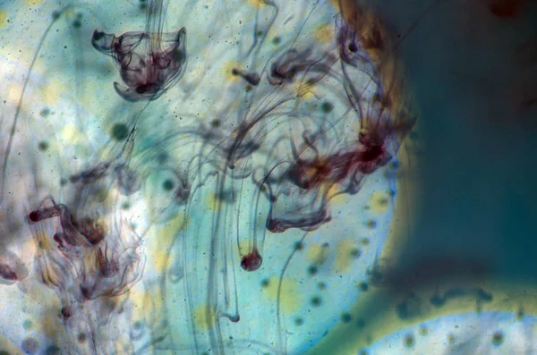 boya ile kimyasal deney