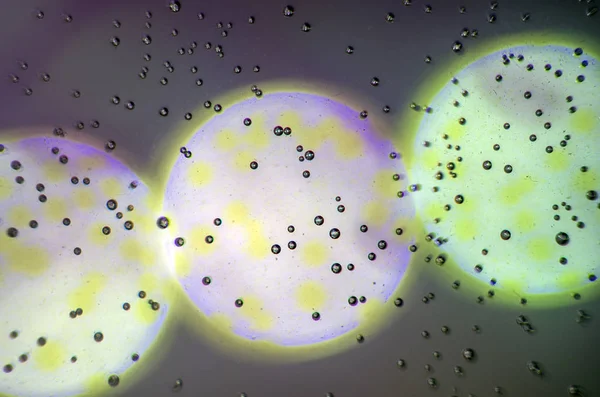 boya ile kimyasal deney