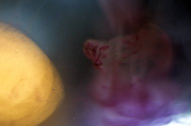 boya ile kimyasal deney