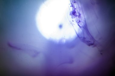 boya ile kimyasal deney