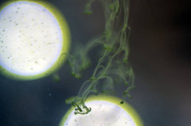 boya ile kimyasal deney