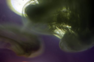 boya ile kimyasal deney