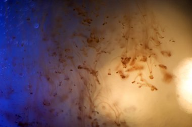 boya ile kimyasal deney