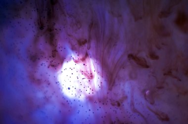 boya ile kimyasal deney