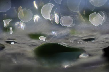 boya ile kimyasal deney