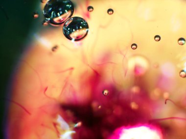 boya ile kimyasal deney