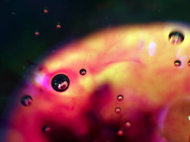 boya ile kimyasal deney