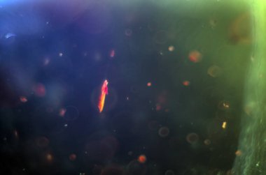 boya ile kimyasal deney