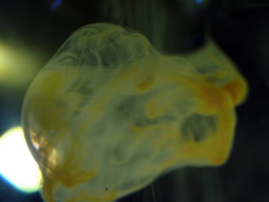 boya ile kimyasal deney