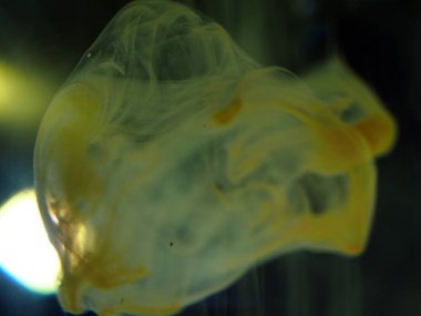 boya ile kimyasal deney