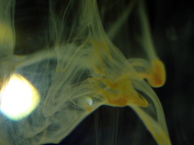 boya ile kimyasal deney