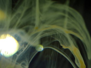 boya ile kimyasal deney