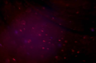 boya ile kimyasal deney