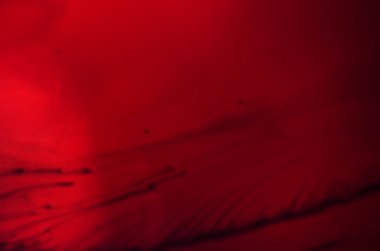 boya ile kimyasal deney