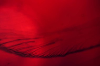 boya ile kimyasal deney