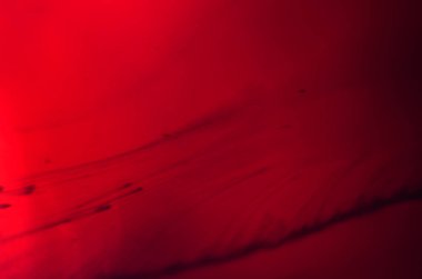 boya ile kimyasal deney