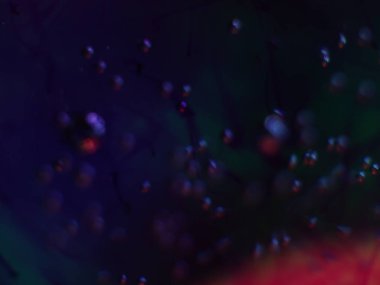 boya ile kimyasal deney