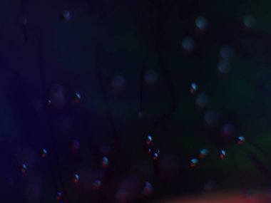 boya ile kimyasal deney