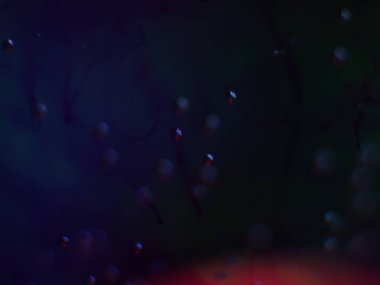 boya ile kimyasal deney