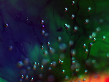 boya ile kimyasal deney