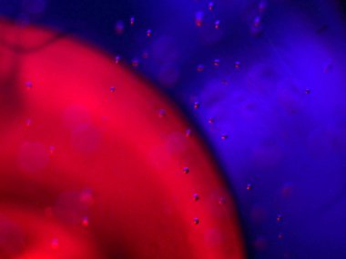 boya ile kimyasal deney