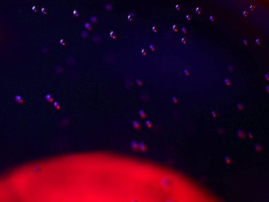 boya ile kimyasal deney