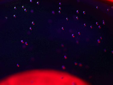 boya ile kimyasal deney